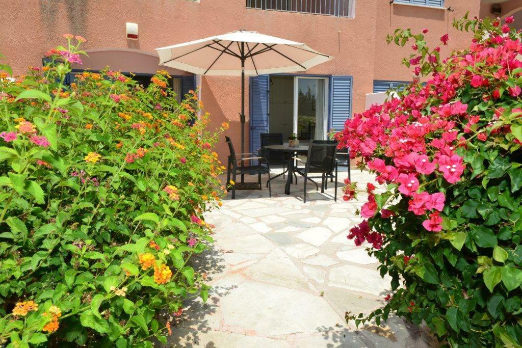 Sunny Garden Apartment Paphos Eksteriør bilde